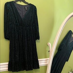EUC DNKY Dark Green Burnout Velvet Dress